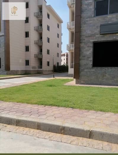 شقة 3 غرف نوم للبيع في القاهرة الجديدة، القاهرة - WhatsApp Image 2026-08-15 at 10.00. 57 PM (1). jpeg شقة 3 غرف نوم للبيع في القاهرة الجديدة، القاهرة - WhatsApp Image 2026-08-15 at 10.00. 57 PM (1). jpeg