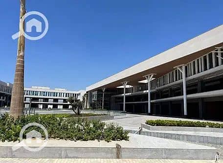 7 40955457-800x600. png