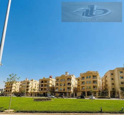فلیٹ 4 غرف نوم للبيع في القاهرة الجديدة، القاهرة - 0903e6e7-31a5-4f5f-be9b-ae32896d0138. jpeg فلیٹ 4 غرف نوم للبيع في القاهرة الجديدة، القاهرة - 0903e6e7-31a5-4f5f-be9b-ae32896d0138. jpeg