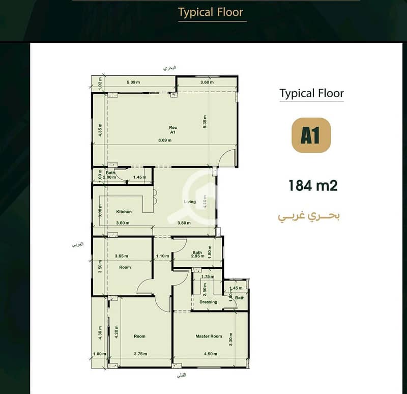 3 1000317895. jpg
