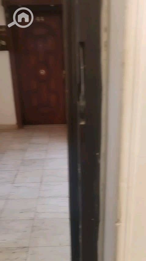 11 vf_VID-20260810-WA0063_300000. jpeg