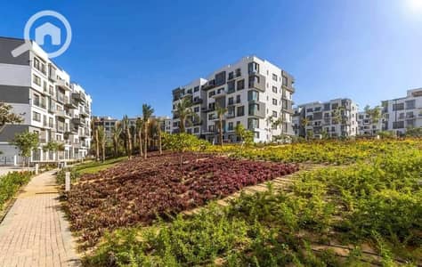 3 Bedroom Duplex for Sale in New Cairo, Cairo - dd34dff9-d641-4e0b-a233-9317068d27e5. jpg