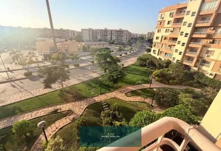 2 Bedroom Apartment for Rent in Madinaty, Cairo - 1001180644. jpg 2 Bedroom Apartment for Rent in Madinaty, Cairo - 1001180644. jpg