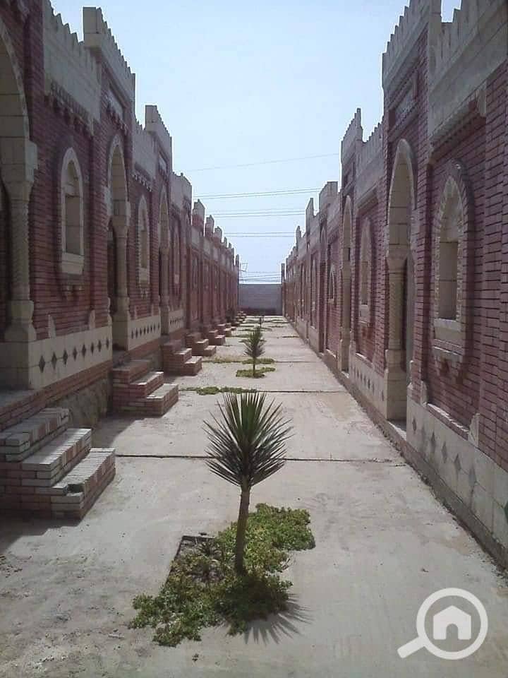 3 نورلا. jpg