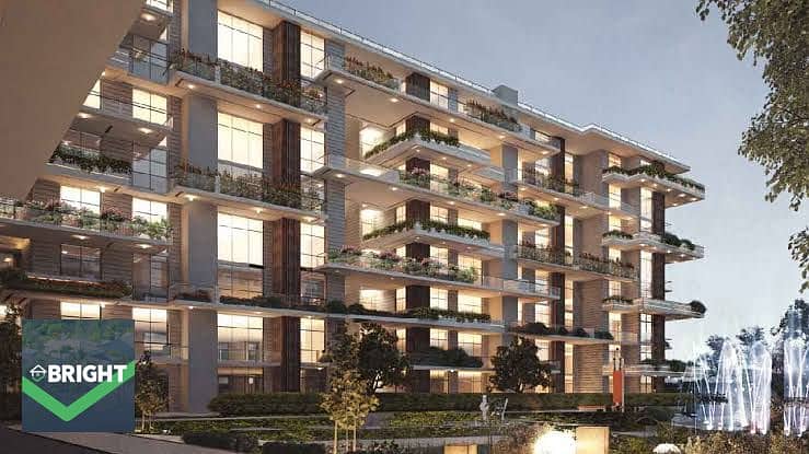 6 images4. jpg