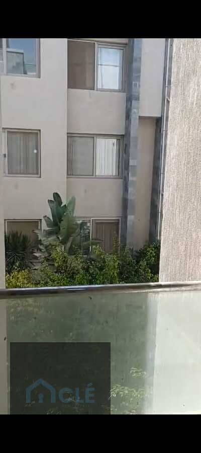 2 WhatsApp Image 2026-08-16 at 14.25. 53. jpeg