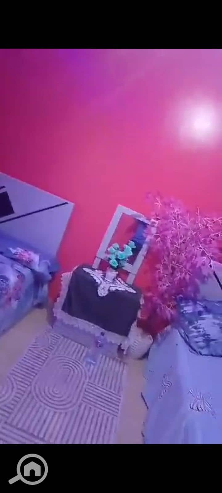 8 1000077282. jpg