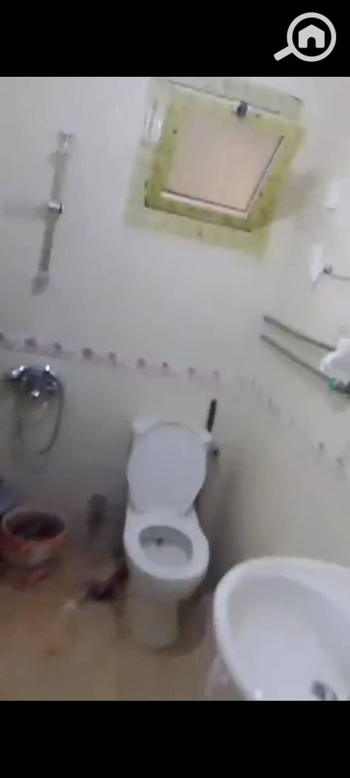 11 1000077287. jpg