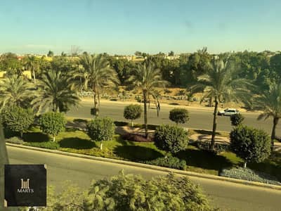 2 Bedroom Apartment for Rent in Sheikh Zayed, Giza - WhatsApp Image 2026-08-16 at 4.35. 34 PM (4). jpeg 2 Bedroom Apartment for Rent in Sheikh Zayed, Giza - WhatsApp Image 2026-08-16 at 4.35. 34 PM (4). jpeg