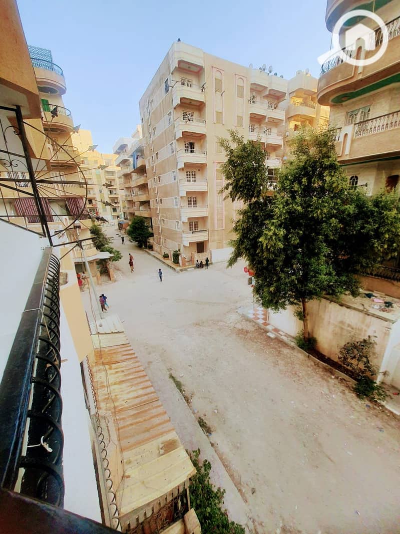 11 1000472364. jpg