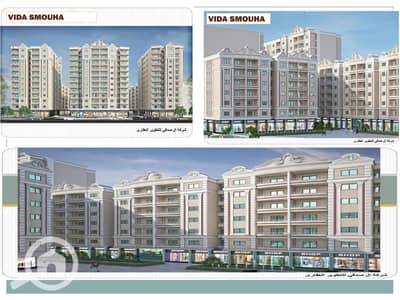 شقة 3 غرف نوم للبيع في سموحة، الإسكندرية - WhatsApp Image 2025-09-13 at 1.20. 50 PMت. jpeg