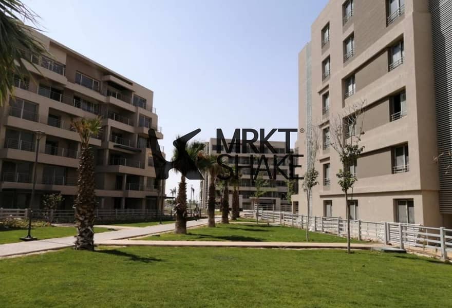 5 2. jpg