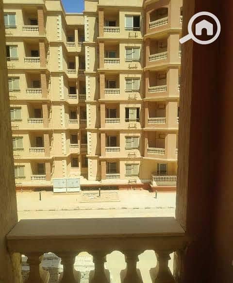 WhatsApp Image 2026-08-16 at 6.55. 44 PM. jpeg WhatsApp Image 2026-08-16 at 6.55. 44 PM. jpeg