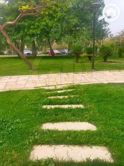 2 Bedroom Apartment for Rent in Madinaty, Cairo - Photo_1786821303497. jpg