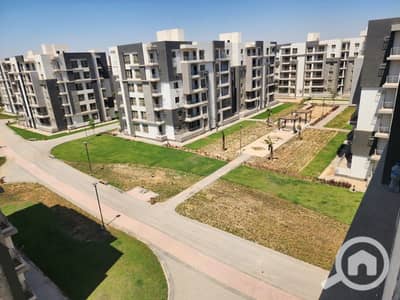 فلیٹ 3 غرف نوم للايجار في 6 اكتوبر، الجيزة - 1000814169. jpg