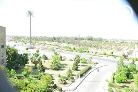 فلیٹ 4 غرف نوم للبيع في الشيخ زايد، الجيزة - WhatsApp Image 2026-08-06 at 8.15. 29 PM (2). jpeg فلیٹ 4 غرف نوم للبيع في الشيخ زايد، الجيزة - WhatsApp Image 2026-08-06 at 8.15. 29 PM (2). jpeg