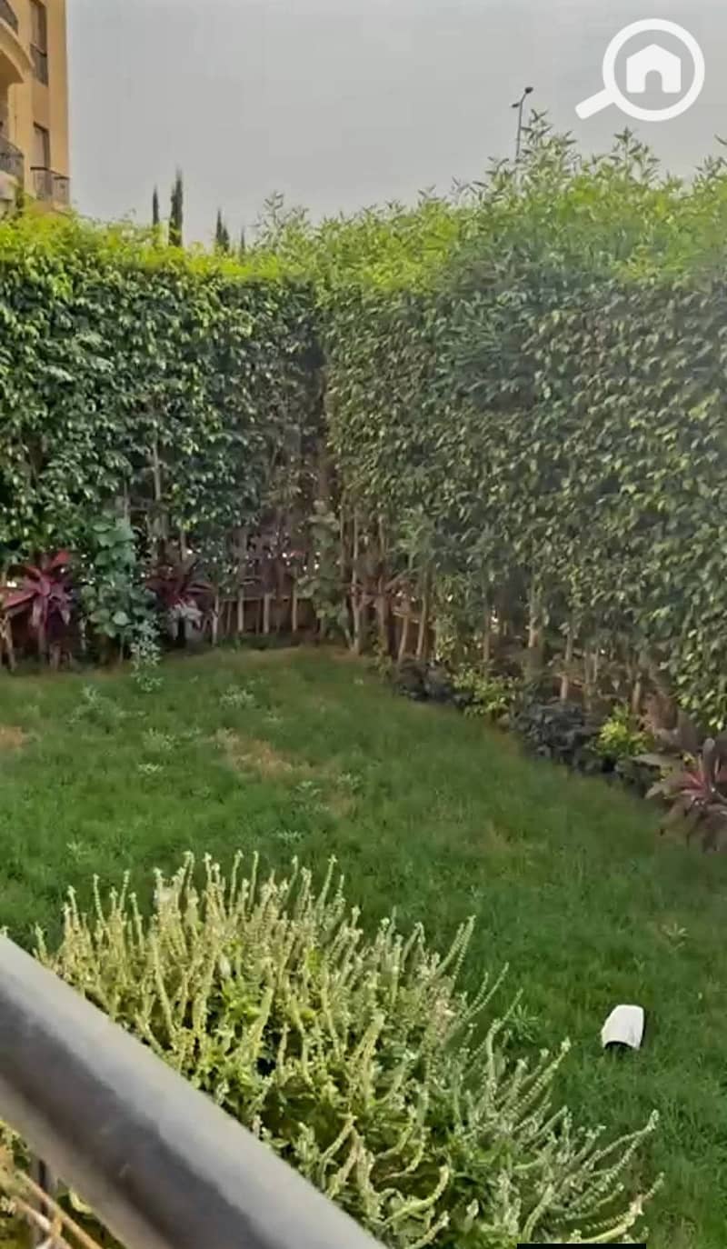 10 1000590693. jpg