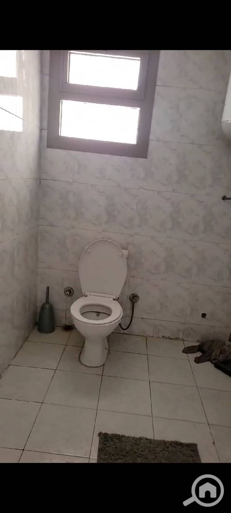 9 1001240243. jpg