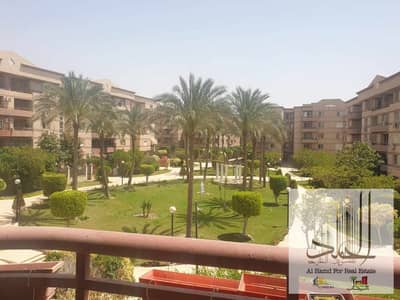 3 Bedroom Apartment for Sale in New Cairo, Cairo - 1000881866. jpg 3 Bedroom Apartment for Sale in New Cairo, Cairo - 1000881866. jpg