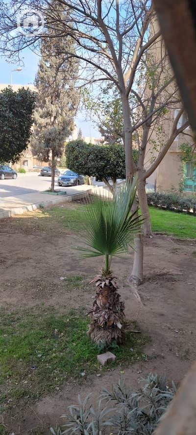 2 Bedroom Flat for Sale in Sheikh Zayed, Giza - WhatsApp Image 2026-06-12 at 11.57. 08 PM (1). jpeg 2 Bedroom Flat for Sale in Sheikh Zayed, Giza - WhatsApp Image 2026-06-12 at 11.57. 08 PM (1). jpeg