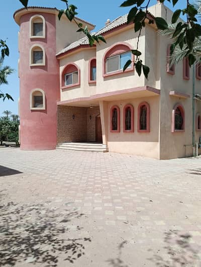 5 Bedroom Villa for Sale in 6th of October, Giza - فيلا و مزرعه 2 فدان بالريف الأوروبى