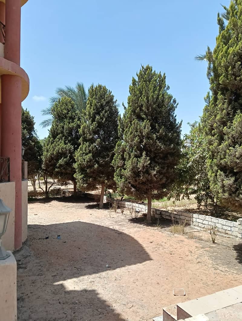7 