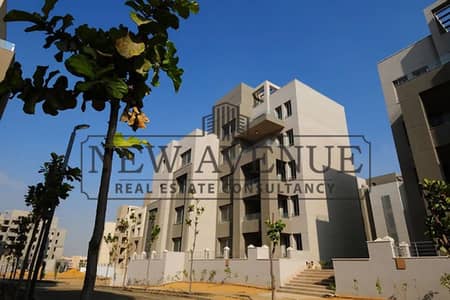 2 Bedroom Flat for Rent in New Cairo, Cairo - WhatsApp Image 2026-08-15 at 2.15. 58 PM (1). jpeg