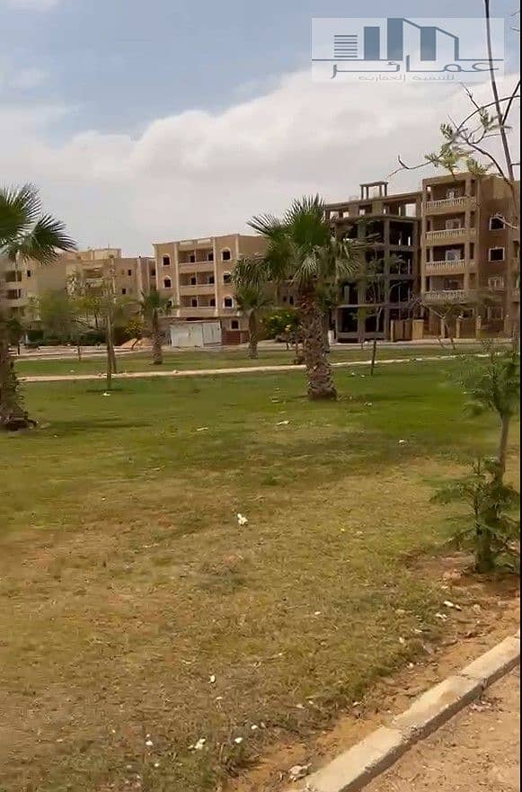 6 1. jpg