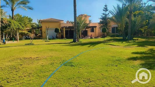 4 Bedroom Villa for Rent in 6th of October, Giza - 1000309151. jpg
