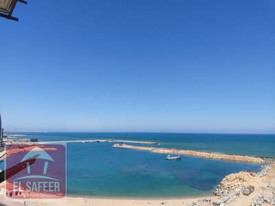 2 Bedroom Apartment for Rent in Laurent, Alexandria - 9b3cd818-6478-44a7-9c80-cf63b48f766e. jpg