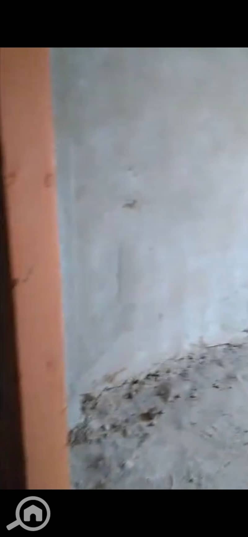 9 924264. jpg