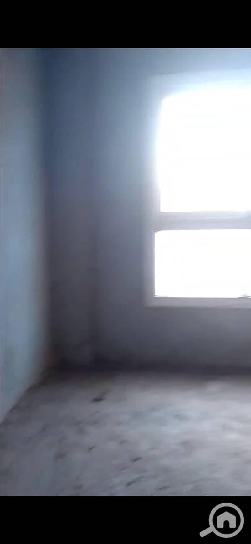 10 924265. jpg