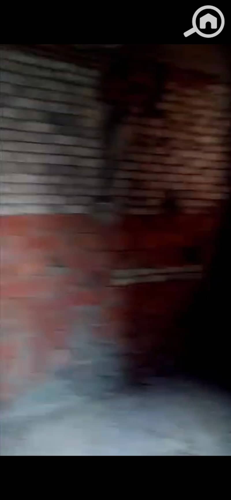 12 924267. jpg