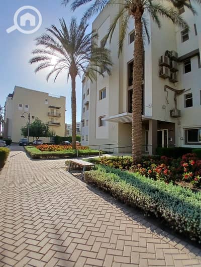 3 Bedroom Flat for Rent in Mokattam, Cairo - 857ff775-4ad5-40a8-8502-764856a94998. jpg