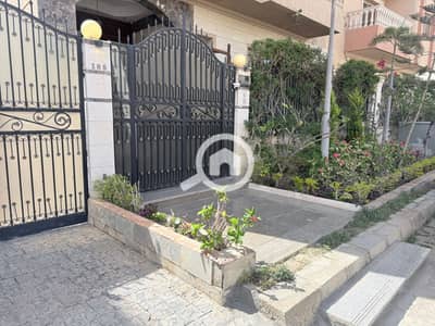 3 Bedroom Apartment for Rent in New Cairo, Cairo - 1000901225. jpg 3 Bedroom Apartment for Rent in New Cairo, Cairo - 1000901225. jpg