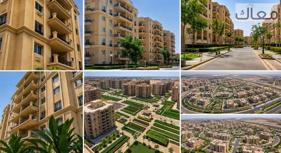 3 Bedroom Apartment for Sale in New Capital City, Cairo - ChatGPT Image Aug 17, 2026, 11_37_43 AM. png 3 Bedroom Apartment for Sale in New Capital City, Cairo - ChatGPT Image Aug 17, 2026, 11_37_43 AM. png