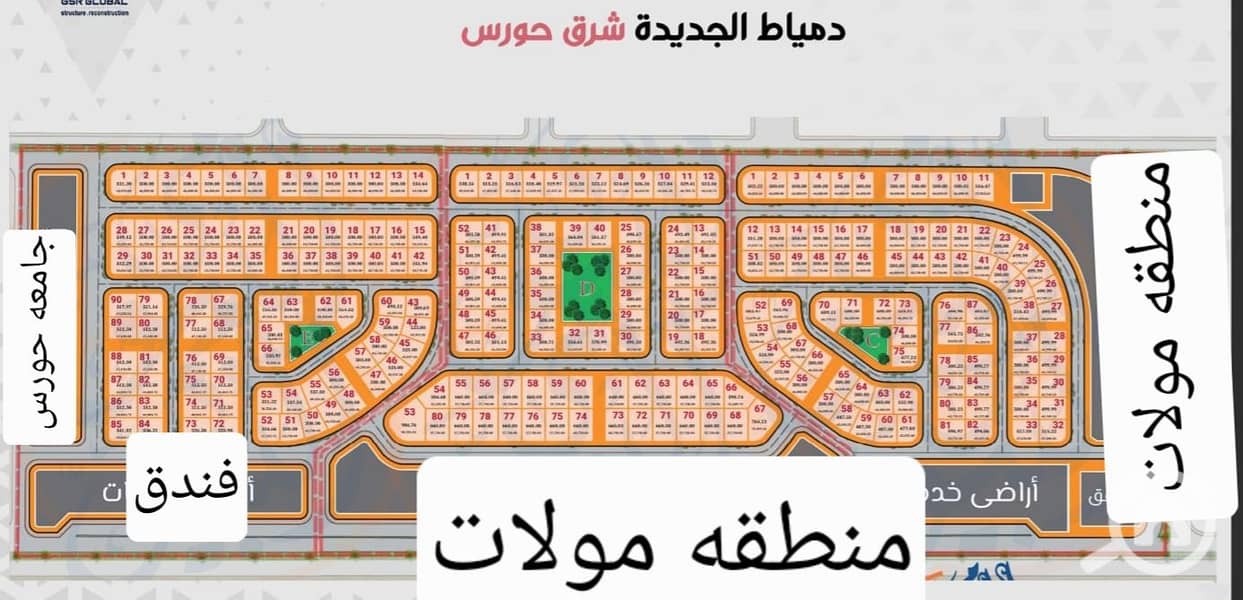 7 1000317903. jpg