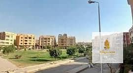 4 17. jpg