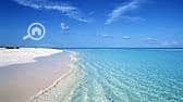 4 WhatsApp Image 2026-08-16 at 12.43. 46 PM (3). jpeg