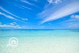 5 WhatsApp Image 2026-08-16 at 12.43. 46 PM (4). jpeg