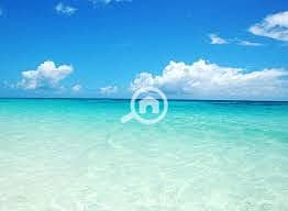 7 WhatsApp Image 2026-08-16 at 12.43. 46 PM (6). jpeg