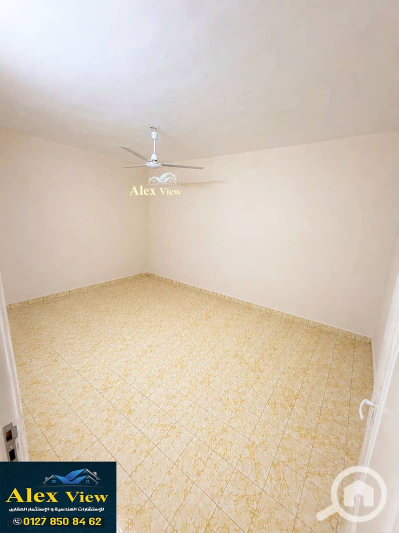 5 5. jpg