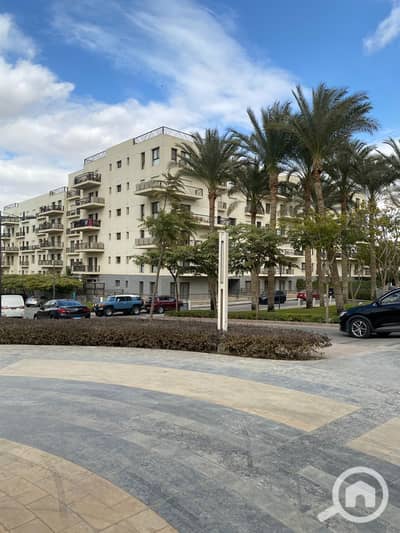 3 Bedroom Apartment for Sale in New Cairo, Cairo - WhatsApp Image 2025-12-29 at 4.28. 35 PM. jpeg 3 Bedroom Apartment for Sale in New Cairo, Cairo - WhatsApp Image 2025-12-29 at 4.28. 35 PM. jpeg