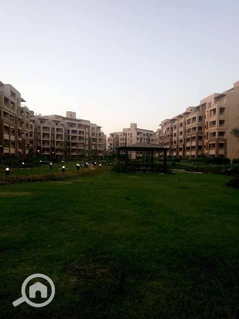 3 60800200_101702604415935_2936614335939608576_n. jpg