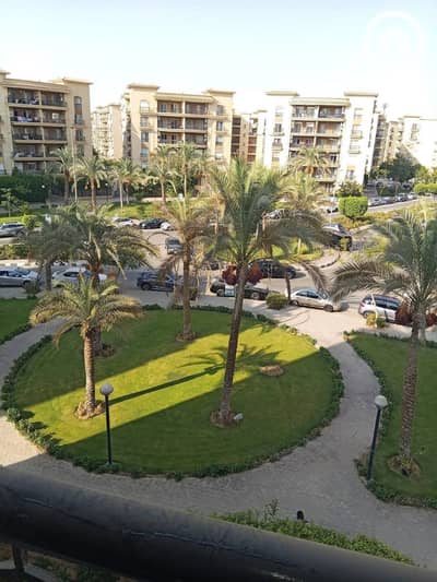 شقة 3 غرف نوم للايجار في القاهرة الجديدة، القاهرة - 487219. jpg شقة 3 غرف نوم للايجار في القاهرة الجديدة، القاهرة - 487219. jpg