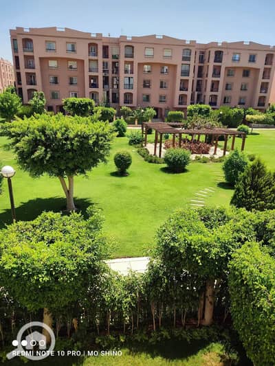 شقة 3 غرف نوم للبيع في القاهرة الجديدة، القاهرة - 1001031029. jpg