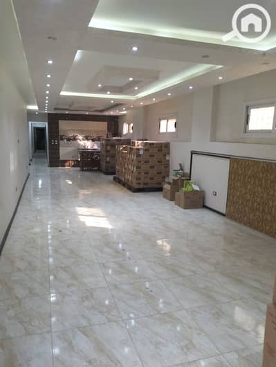 3 Bedroom Flat for Rent in Mokattam, Cairo - 1000431493. jpg 3 Bedroom Flat for Rent in Mokattam, Cairo - 1000431493. jpg