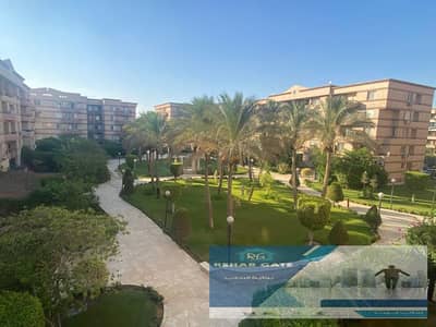 3 Bedroom Apartment for Rent in New Cairo, Cairo - WhatsApp Image 2026-08-17 at 3.01. 41 PM. jpeg 3 Bedroom Apartment for Rent in New Cairo, Cairo - WhatsApp Image 2026-08-17 at 3.01. 41 PM. jpeg