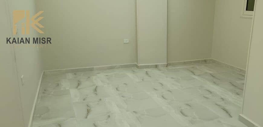 3 5786. jpg