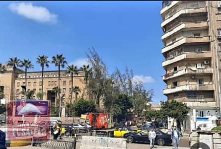 Restaurant & Cafe for Rent in Camp Caesar, Alexandria - 14eb35a1-510f-4d74-85f2-7011fc9f3d3d. jpg